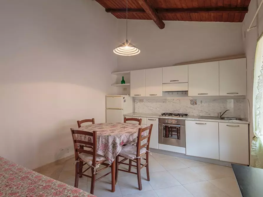 Immagine 2 di Villa in affitto  a Pisa