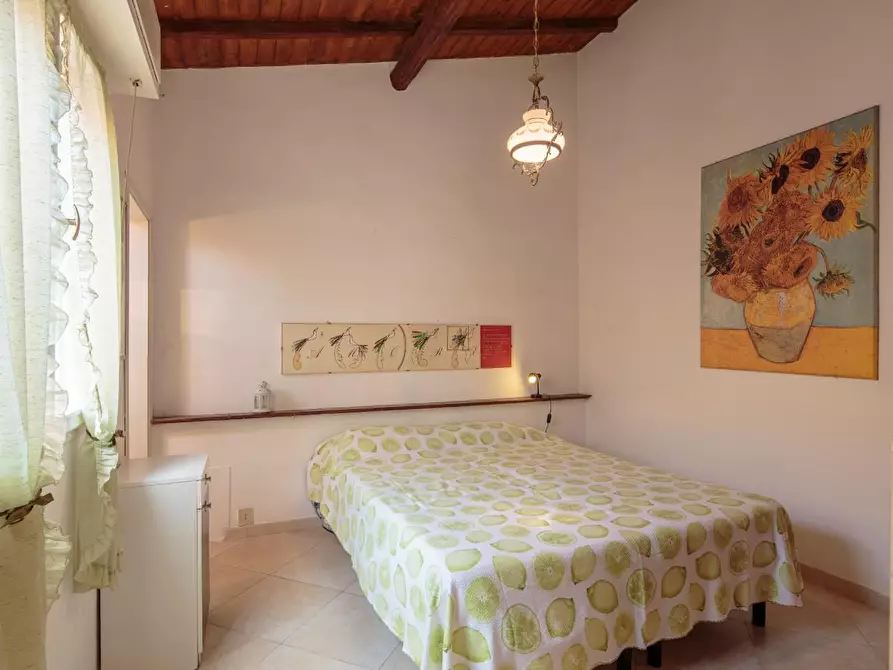 Immagine 7 di Villa in affitto  a Pisa