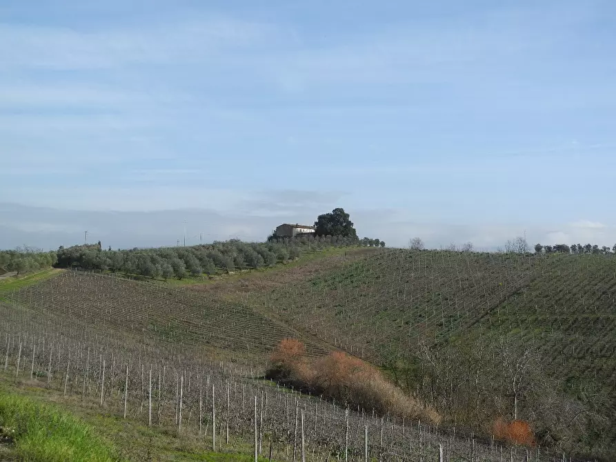 Immagine 1 di Rustico / casale in vendita  a Cerreto Guidi