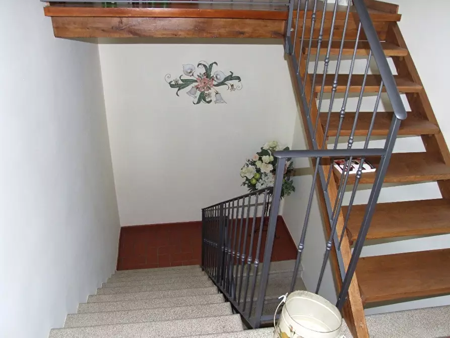 Immagine 30 di Porzione di casa in vendita  a Fauglia