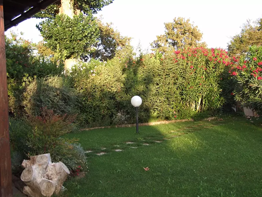 Immagine 3 di Porzione di casa in vendita  a Fauglia