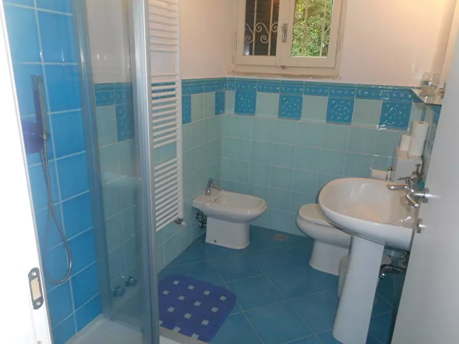 Immagine 17 di Villa in affitto  a Massa