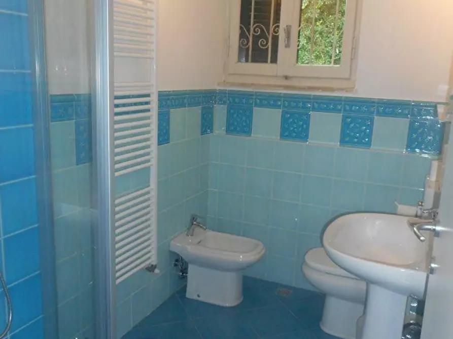 Immagine 18 di Villa in affitto  a Massa