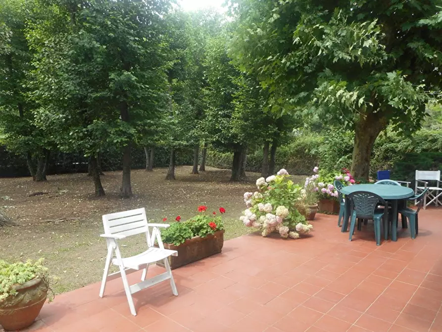 Immagine 3 di Villa in affitto  a Massa