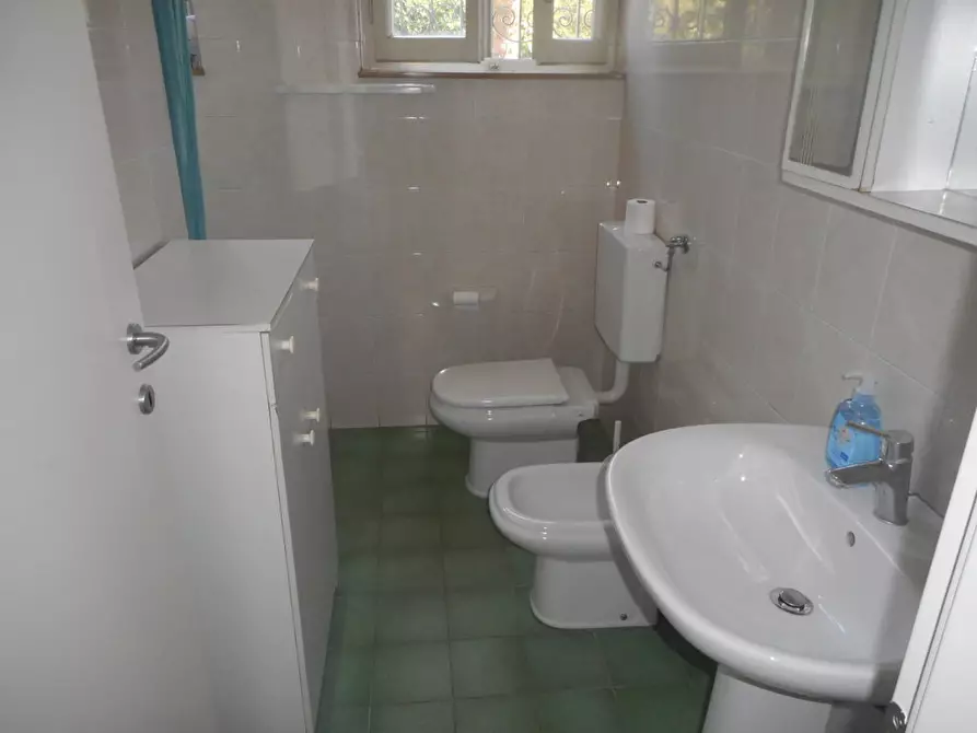 Immagine 11 di Villa in affitto  a Massa