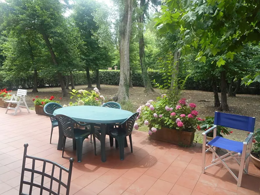 Immagine 2 di Villa in affitto  a Massa