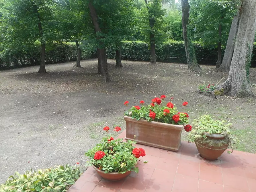 Immagine 4 di Villa in affitto  a Massa
