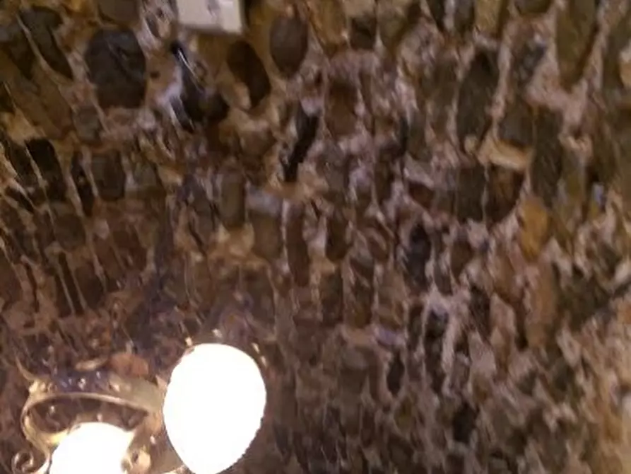 Immagine 6 di Casa colonica in vendita  a Villafranca In Lunigiana