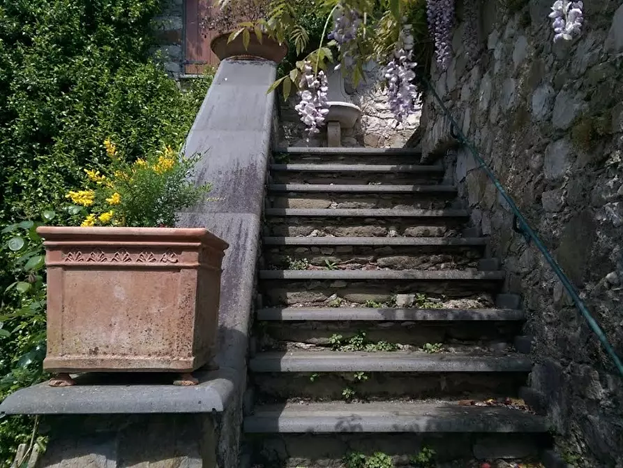 Immagine 30 di Casa colonica in vendita  a Villafranca In Lunigiana