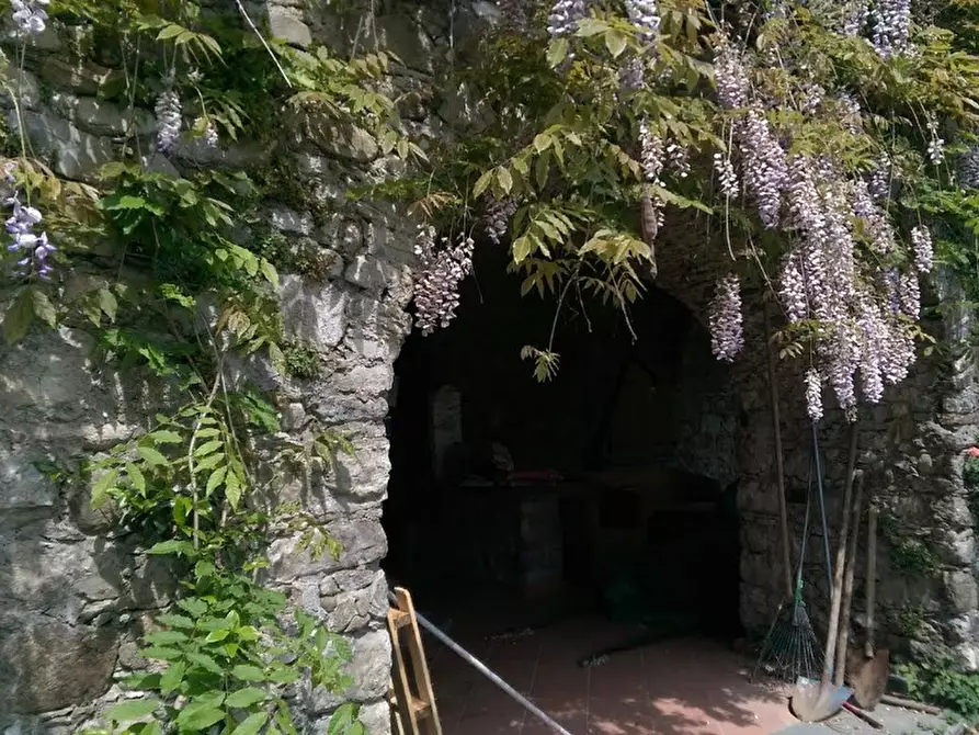 Immagine 31 di Casa colonica in vendita  a Villafranca In Lunigiana