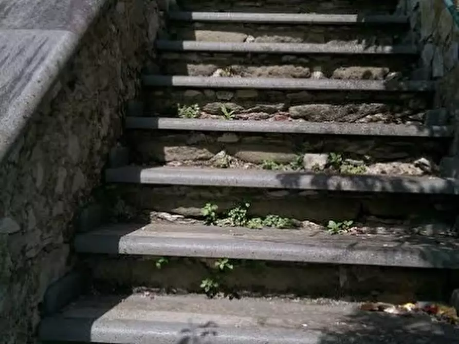 Immagine 44 di Casa colonica in vendita  a Villafranca In Lunigiana