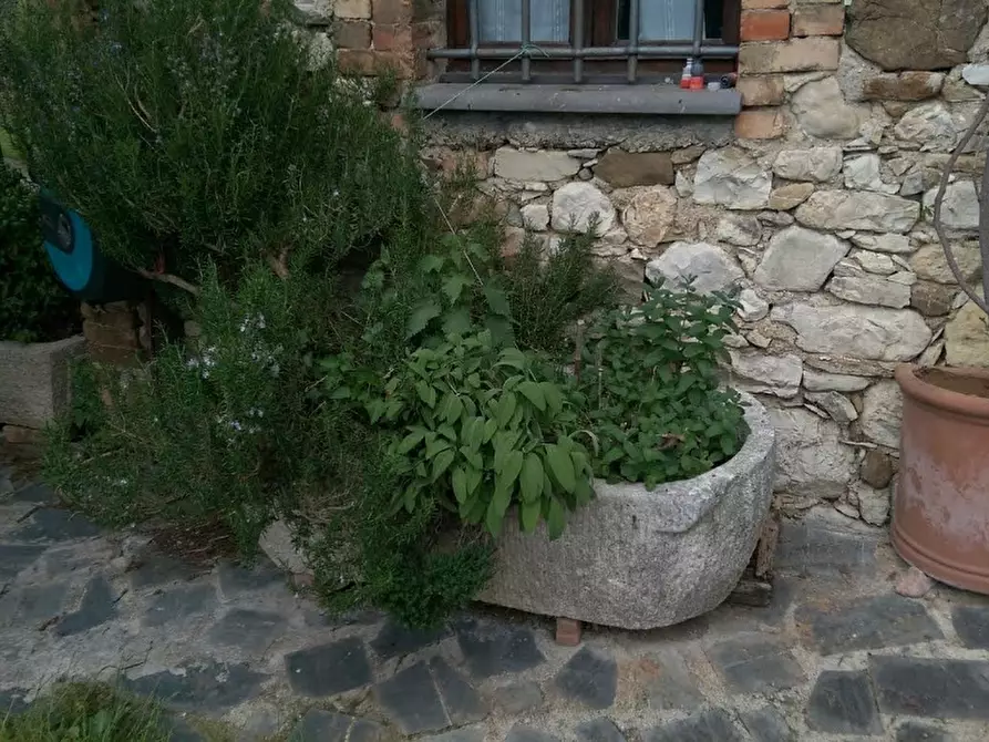 Immagine 19 di Casa colonica in vendita  a Villafranca In Lunigiana