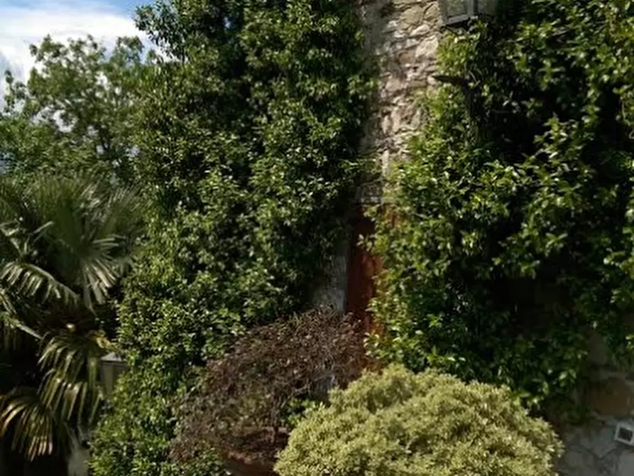 Immagine 45 di Casa colonica in vendita  a Villafranca In Lunigiana