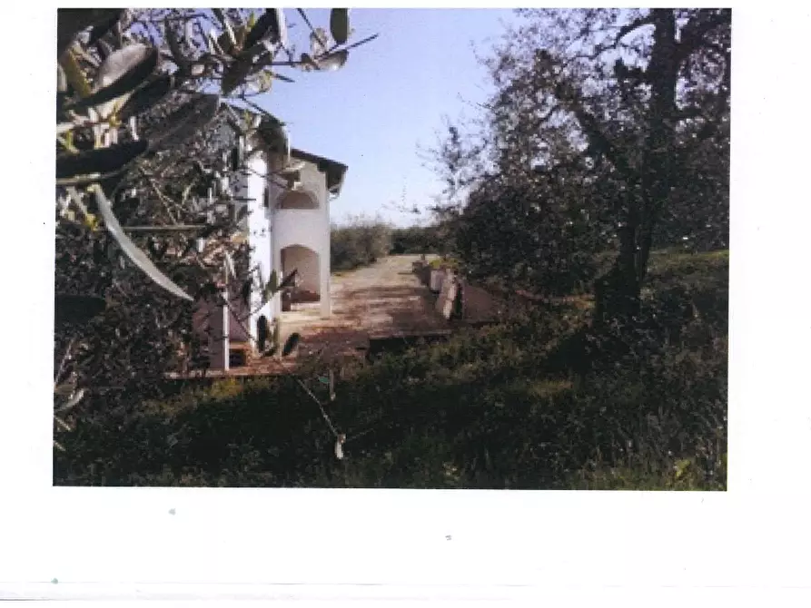 Immagine 6 di Casa indipendente in vendita  a San Miniato