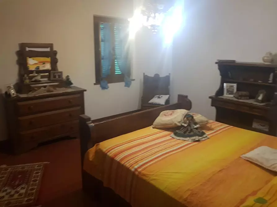 Immagine 20 di Casa colonica in vendita  a Terricciola
