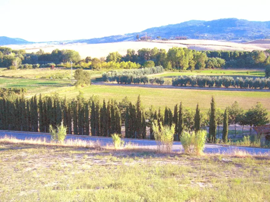 Immagine 8 di Casa colonica in vendita  a Terricciola