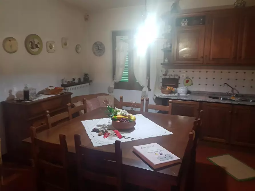 Immagine 12 di Casa colonica in vendita  a Terricciola
