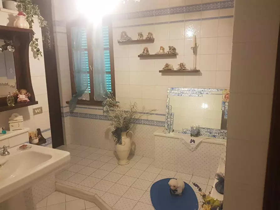 Immagine 18 di Casa colonica in vendita  a Terricciola