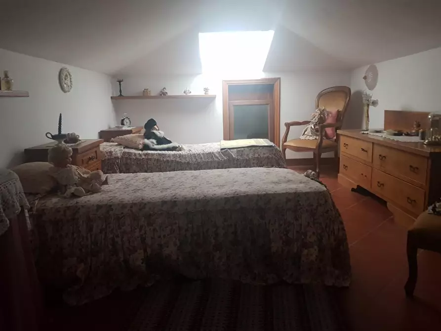 Immagine 21 di Casa colonica in vendita  a Terricciola