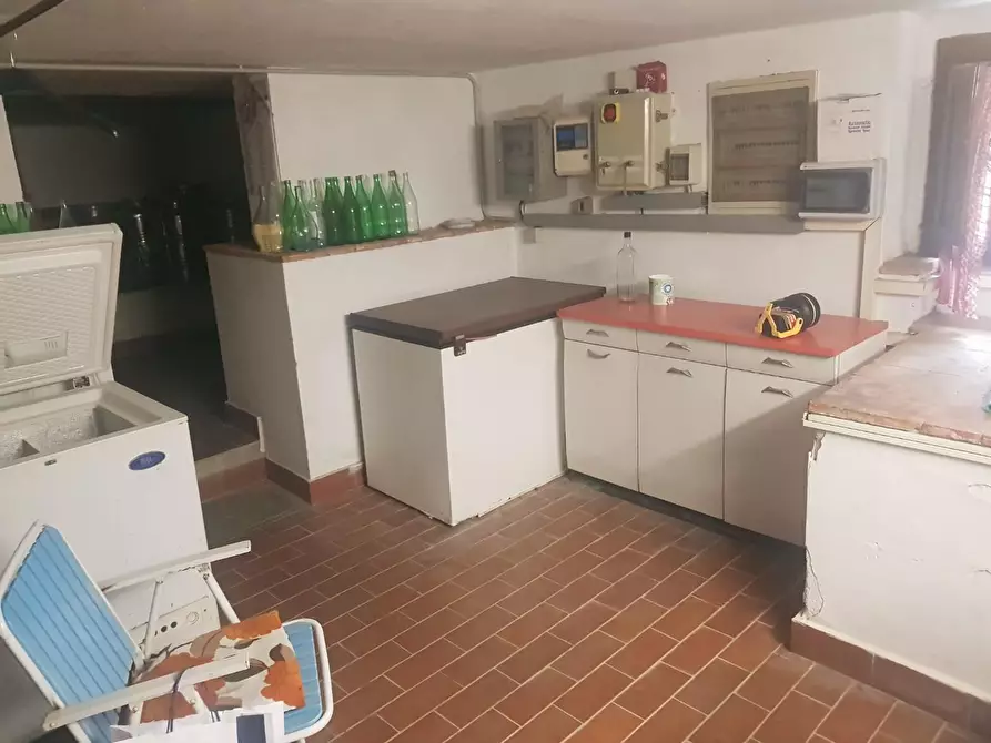 Immagine 25 di Casa colonica in vendita  a Terricciola