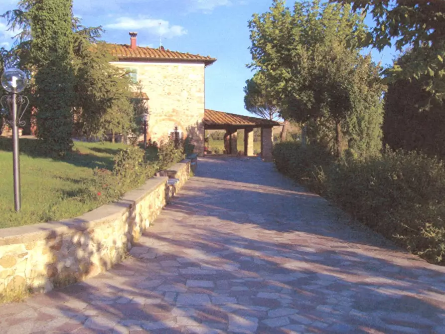 Immagine 6 di Casa colonica in vendita  a Terricciola