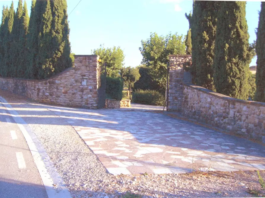 Immagine 5 di Casa colonica in vendita  a Terricciola