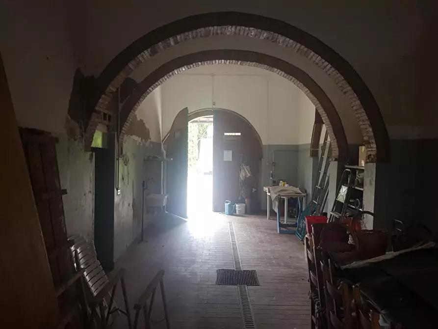 Immagine 26 di Casa colonica in vendita  a Terricciola
