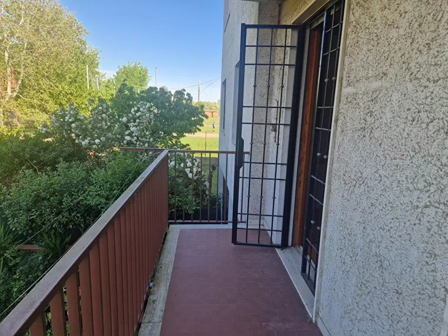 Immagine 26 di Villetta a schiera in vendita  a Pisa