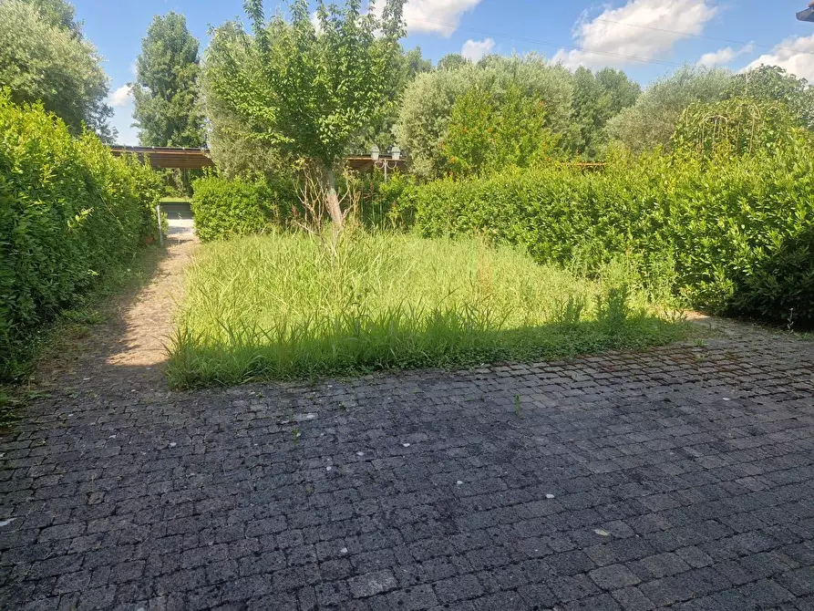 Immagine 18 di Rustico / casale in vendita  a San Giuliano Terme