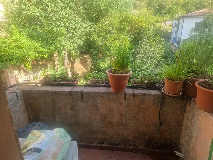 Immagine 21 di Rustico / casale in vendita  a Calci