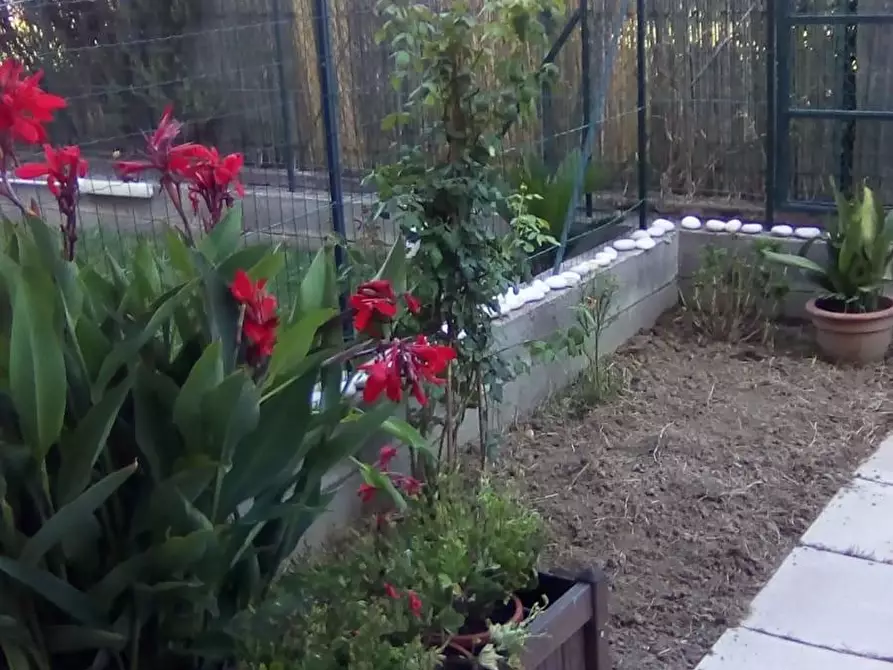 Immagine 13 di Appartamento in vendita  a San Giuliano Terme