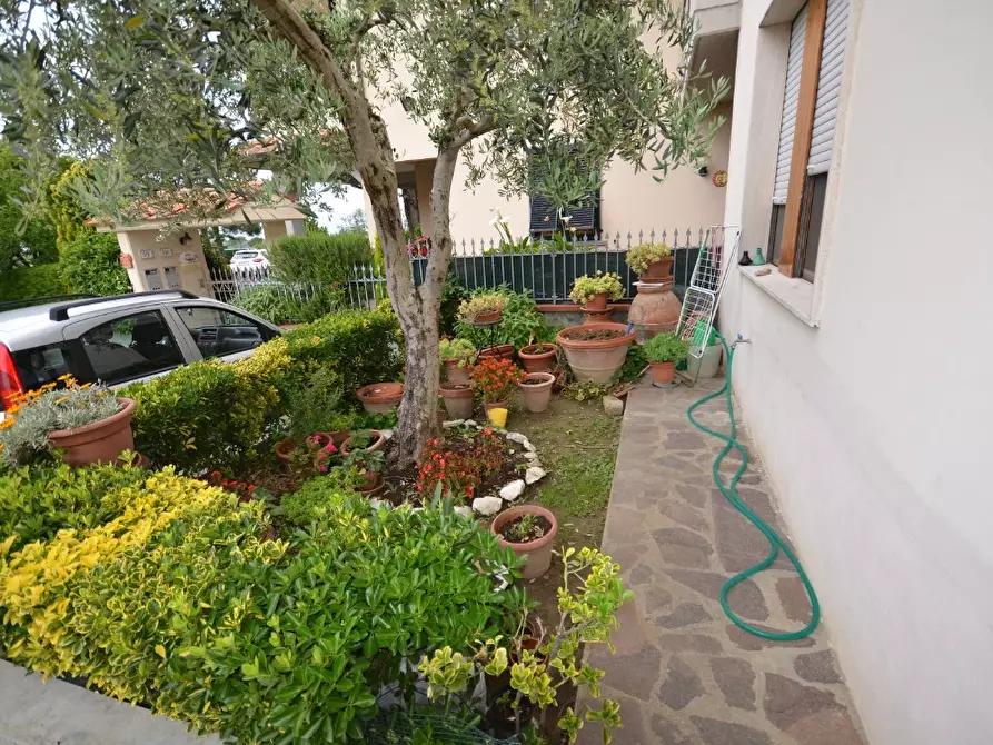 Immagine 10 di Appartamento in vendita  a Cerreto Guidi