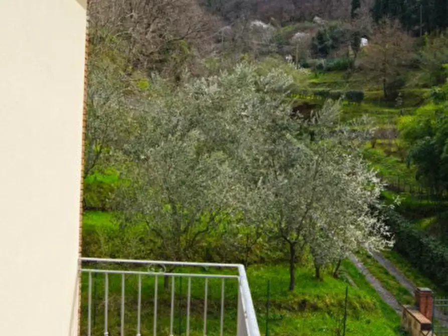 Immagine 21 di Casa colonica in vendita  a San Giuliano Terme