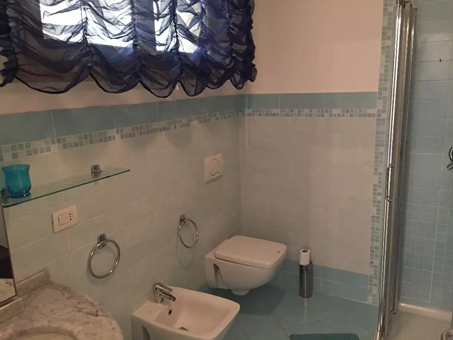 Immagine 11 di Appartamento in affitto  a Pisa