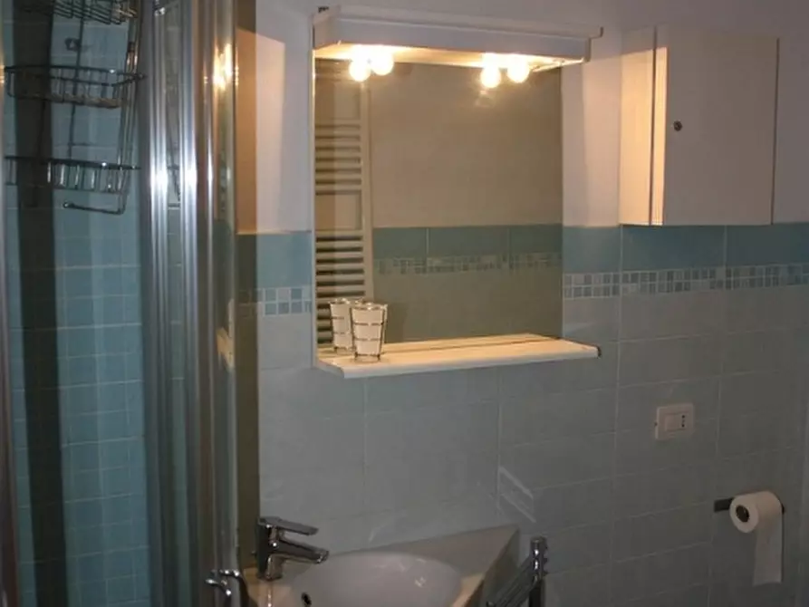 Immagine 11 di Appartamento in affitto  a Pisa