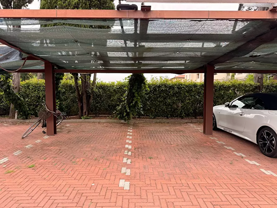 Immagine 16 di Appartamento in affitto  a Pisa