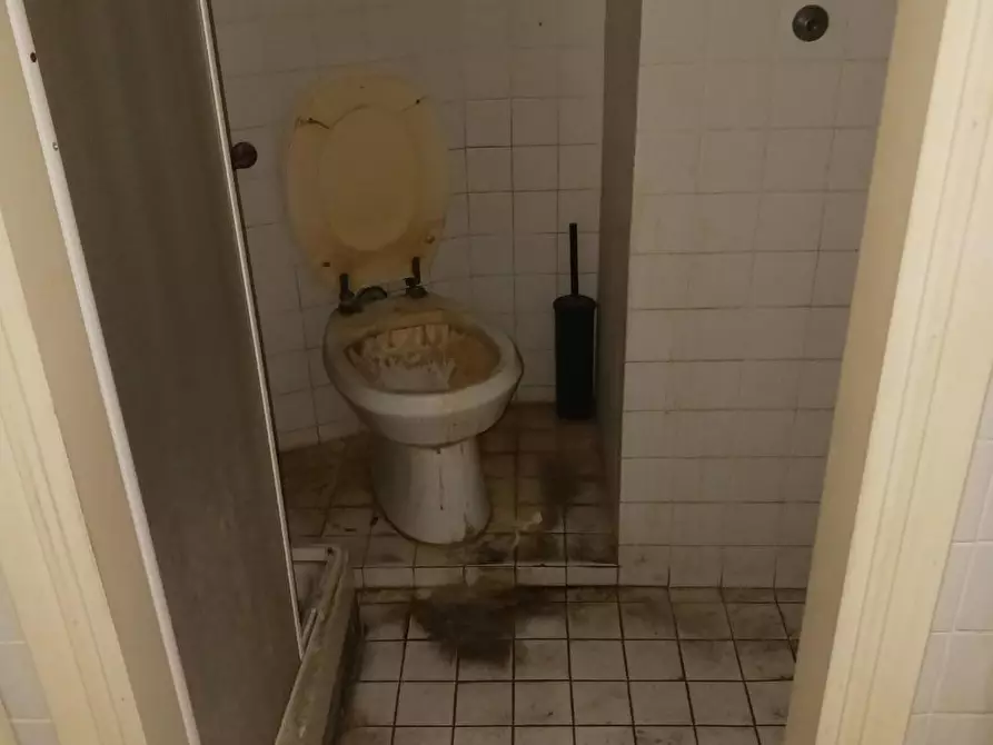 Immagine 8 di Appartamento in vendita  a Pontedera