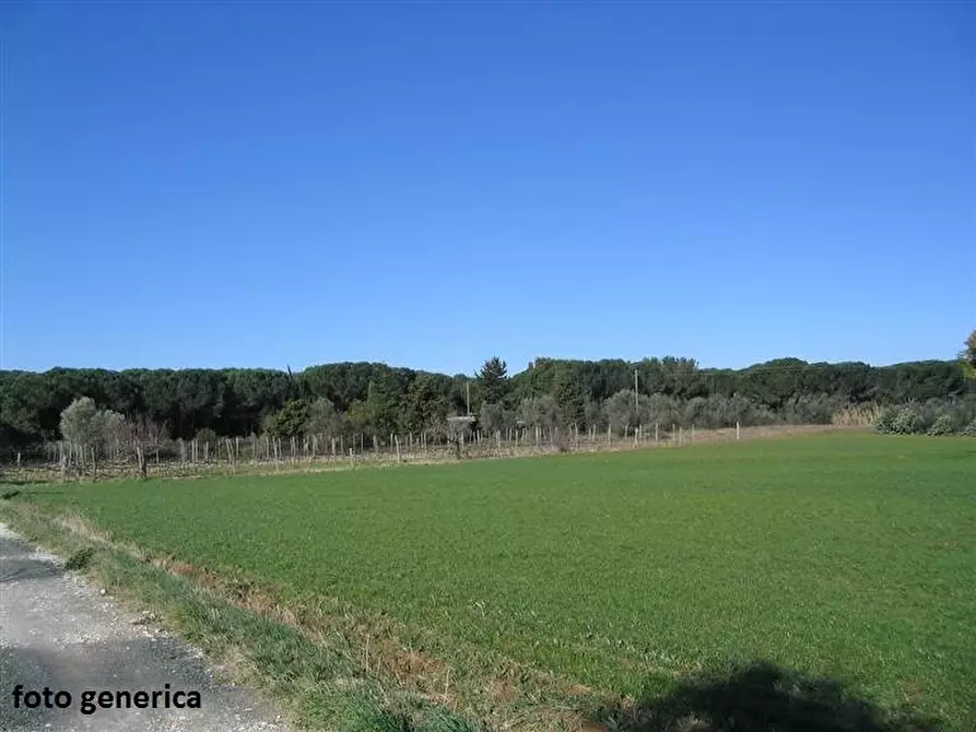 Immagine 1 di Terreno residenziale in vendita  a Terricciola