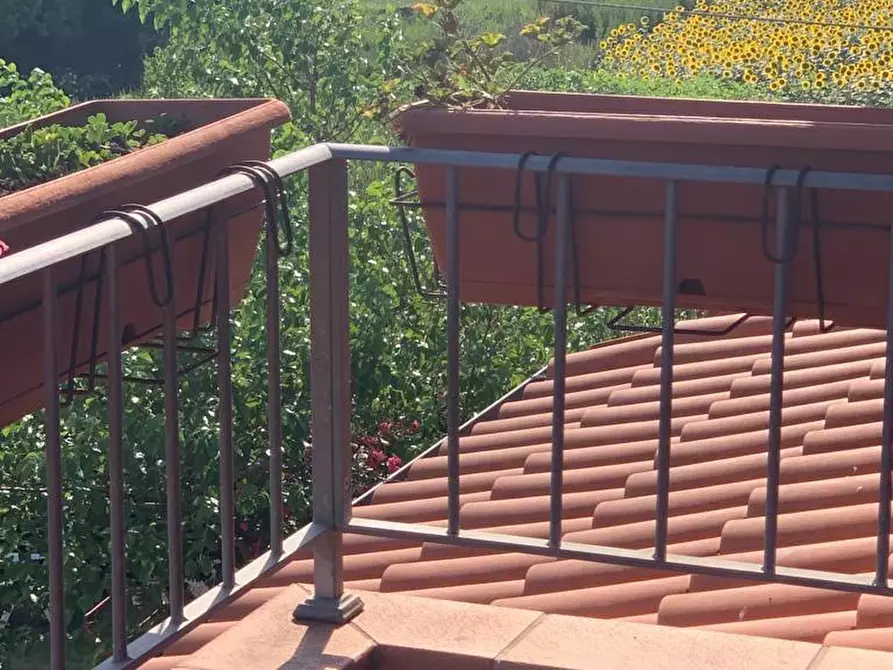 Immagine 38 di Appartamento in vendita  a Pontedera