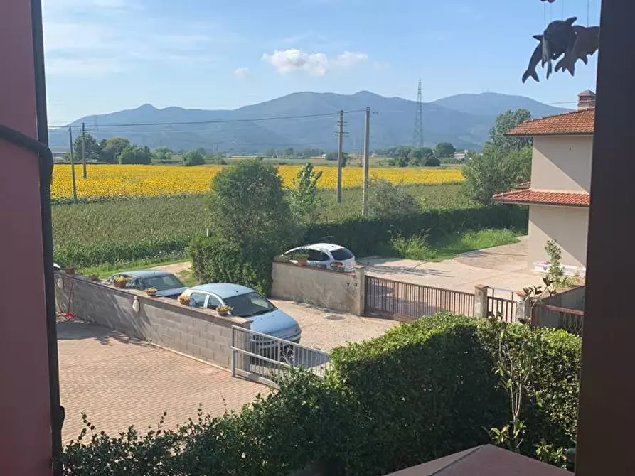 Immagine 29 di Appartamento in vendita  a Pontedera