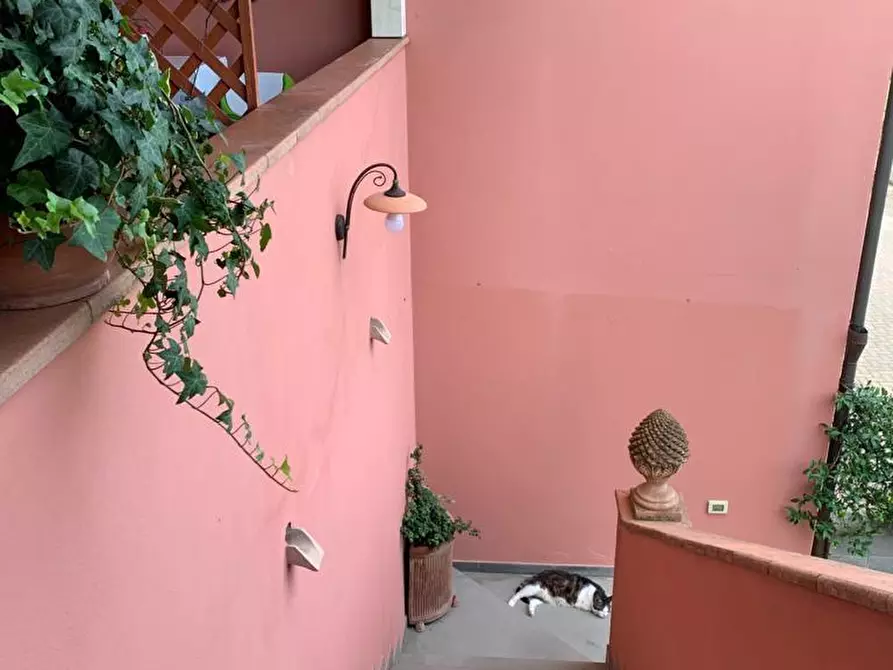 Immagine 8 di Appartamento in vendita  a Pontedera