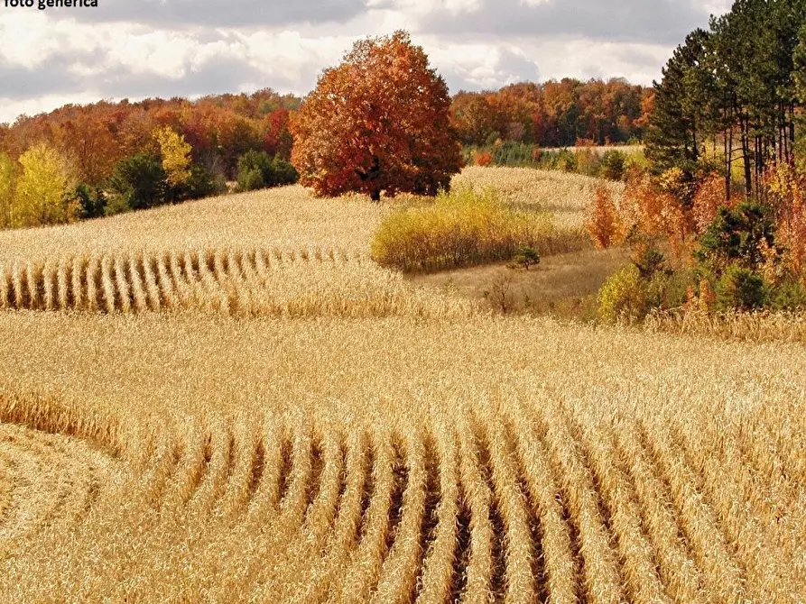 Immagine 14 di Locale commerciale in vendita  a Casciana Terme Lari