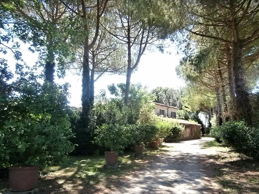Immagine 34 di Rustico / casale in vendita  a San Giuliano Terme