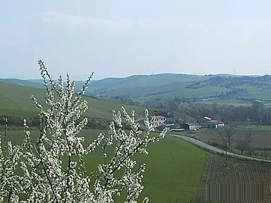 Immagine 11 di Rustico / casale in vendita  a Volterra