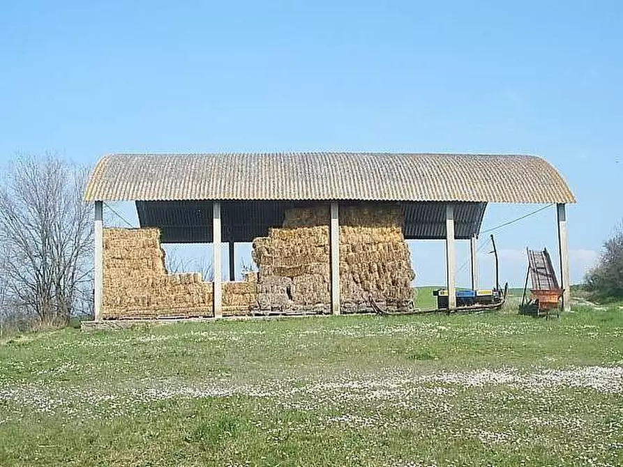 Immagine 9 di Rustico / casale in vendita  a Volterra