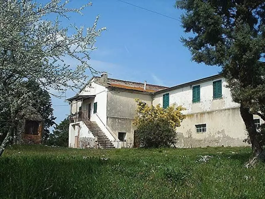 Immagine 4 di Rustico / casale in vendita  a Volterra