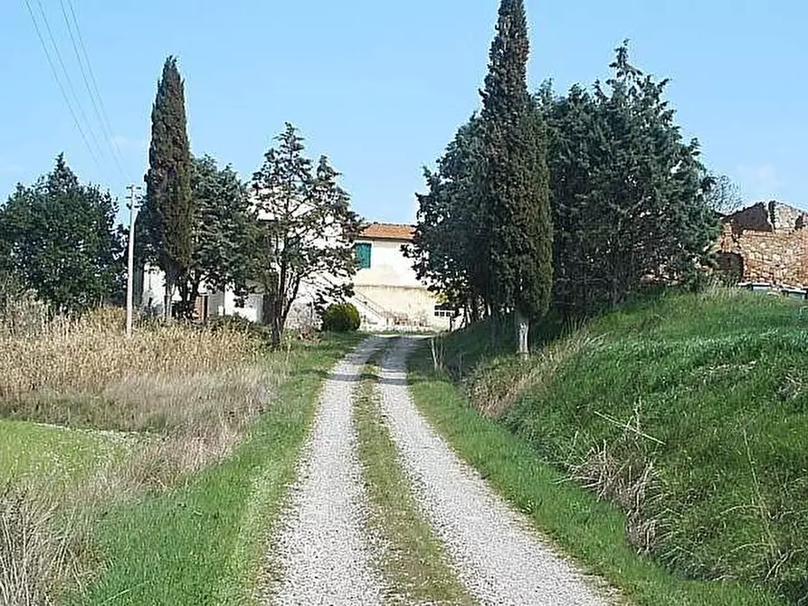 Immagine 10 di Rustico / casale in vendita  a Volterra