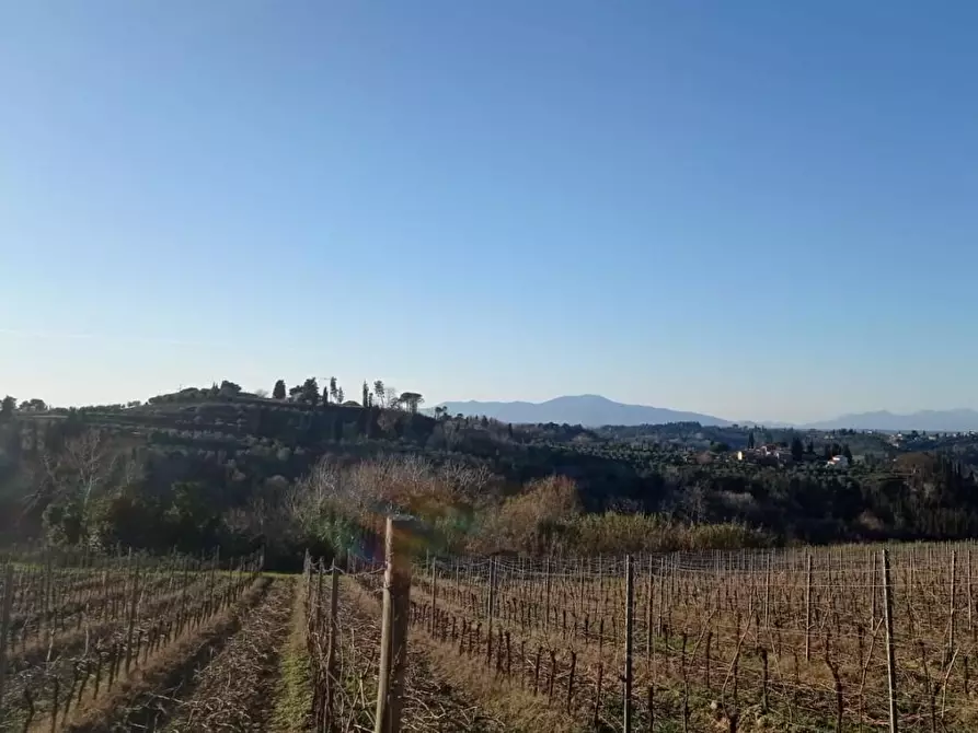 Immagine 16 di Terreno residenziale in vendita  a San Miniato