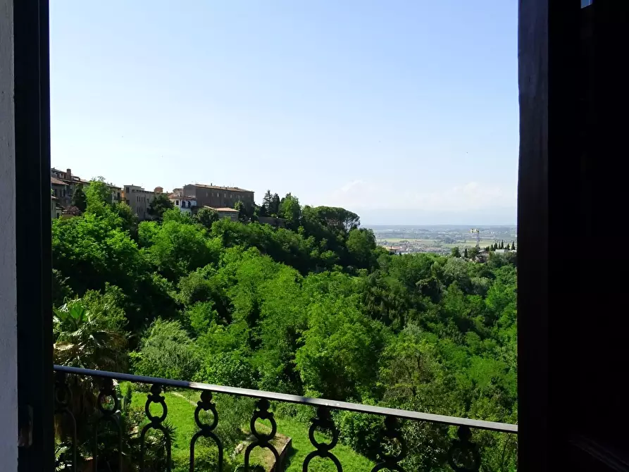 Immagine 17 di Appartamento in affitto  a San Miniato