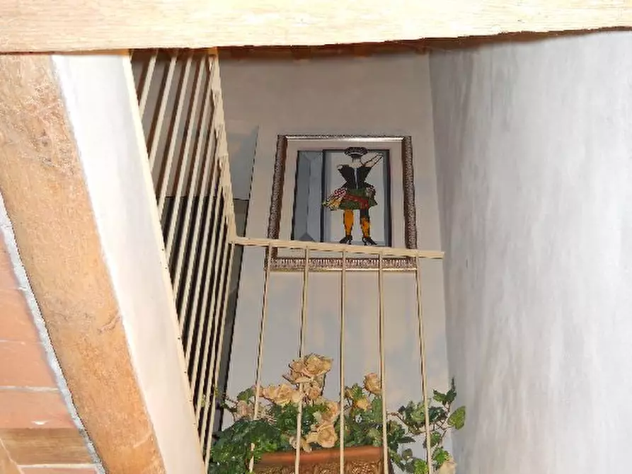 Immagine 13 di Terratetto in vendita  a Calci